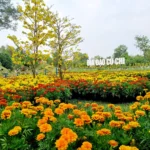 Khu du lich dia dao cu chi