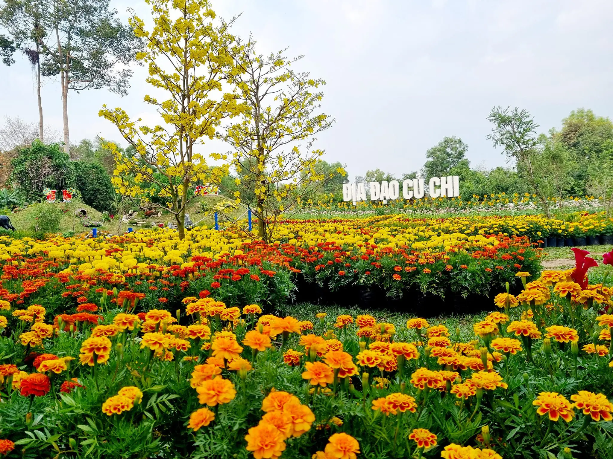 Khu du lich dia dao cu chi